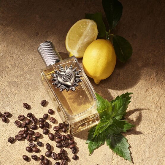 Perfume Dolce & Gabbana Devotion For Men Masculino Eau de Parfum